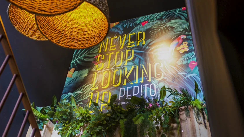 Pepito Brillo — mural «Never stop looking up»
